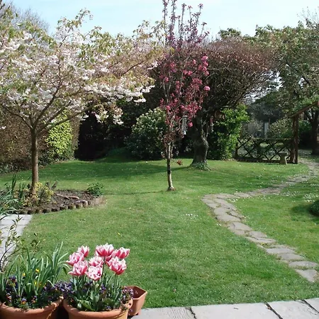 Tregenver Bed & Breakfast